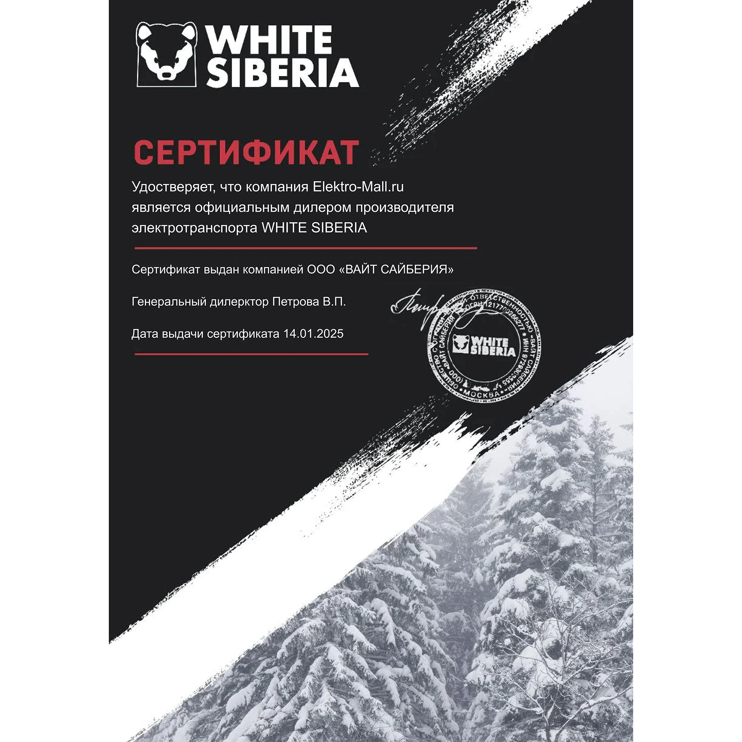 Электроскутер Citycoco WHITE SIBERIA PRO 2WD 4000W 20AH (Полноприводный 2*2000W) 10 Электроскутер Citycoco WHITE SIBERIA PRO 2WD 4000W 20AH (Полноприводный 2*2000W) 10