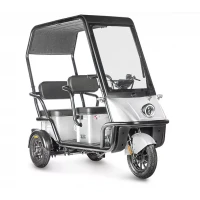 Электротрицикл Wanshida NIPLA 500 60V 1000Вт Черно-белый